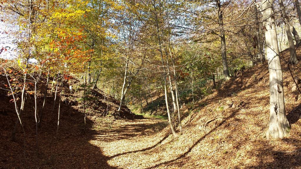 La Valle Nervesa della Battaglia Eksteriør bilde